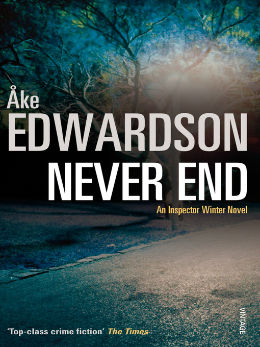 Title details for Never End by Åke Edwardson - Wait list